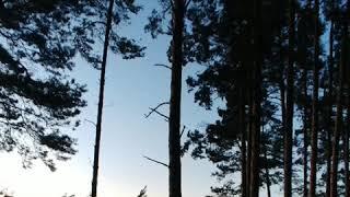 Eesti 2019