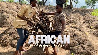 African village life | typical African way of life #africa #villagelife #nigeria #trending #nigeria