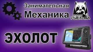 Занимательная механика в Русской Рыбалке 4. Эхолот. Как он работает и как использовать.