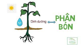 NÔNG DÂN CẦN BIẾT - KIẾN THỨC VỀ PHÂN BÓN