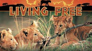 Official Trailer - LIVING FREE (1972, Nigel Davenport, Susan Hampshire)