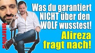 Was du garantiert NICHT über den WOLF wusstest! Die ganze Geschichte! Alireza fragt nach!