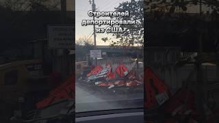 Строителей депортировали из США#америка #сша #майами #жизньвсша #депортация #трамп