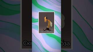 Зёрна мудрости  #Бог #христианство #мудрость