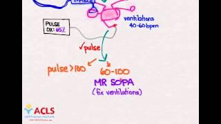 NRP Overview and Review  by ACLS Certification Institute