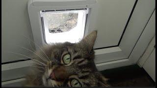 Sureflap Microchip Cat Flap Review