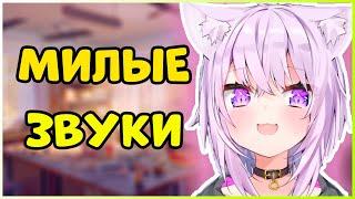 Окаю и Милые кошачьи звуки 30 секунд | Nekomata Okayu