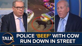 Police 'BEEF' With Cow Run Down In Street