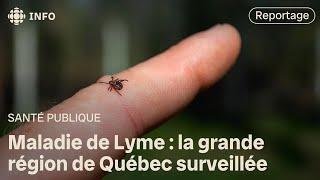 La région de Québec fait son entrée dans la zone endémique pour la maladie de Lyme
