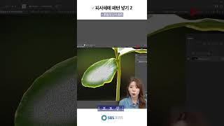 피사체에 패턴 넣기 2 | 포토샵   SBS아카데미컴퓨터아트학원