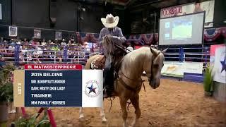 2021 Best of Texas Premier Horse Sale Via The Cowboy Channel