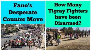 Fano's Desperate Counter Move | How Many Tigray Fighters have been Disarmed?