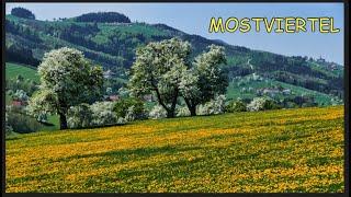 MOSTVIERTEL - von der Donau zum Ötscher