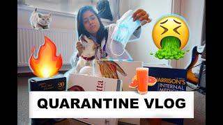 Quarantine Day in the Life VLOG | Dr Bless (re-upload)