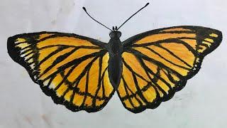 How to draw Butterfly | Learn Drawing For Kids | Simple Techie Artist
