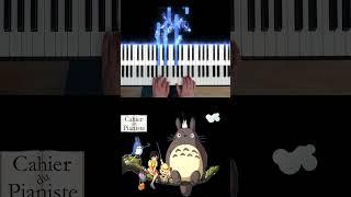 Mon voisin Totoro #ghibli #piano #pianotutorial #joehisaishi #pianomusic #pianocover #music #tuto