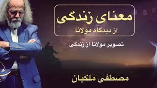 معنای زندگی از دید مولانا ، مصطفی ملکیان