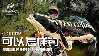 【FishingShare】KLAU水坝可以怎样钓？揭晓我的单身多曼与妈妈多曼钓法 | HOW TO FISH at KLAU Dam?