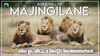 Rise and fall of Majingilane male lion coalition | Tamil | Life of Majingilane lions | BioWorld | BW