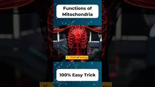 Trick to remember the Functions of Mitochondria  #mitocondria #biology11 #biology #zoology #bio