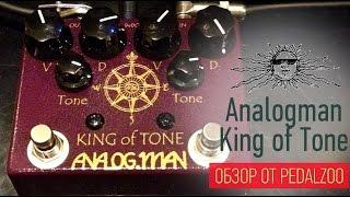 King of Tone за 60 секунд - Обзор от Pedalzoo