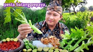 mukbang lalap batang pepaya mentah, jengkol muda sambal terasi ikan asin kriuk, eating papaya tree