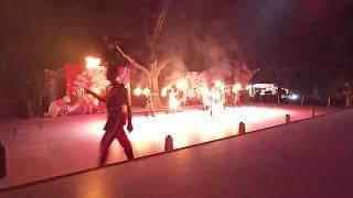 Spectacular show of fire dance