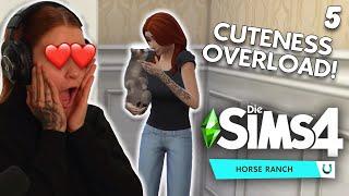 Melina adoptiert einen WASCHBÄREN?! - Sims 4 #5