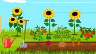 Garden Raised Beds Designs Part 2