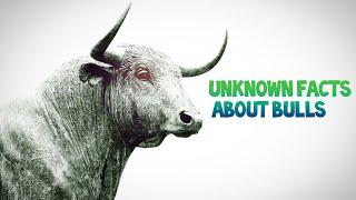 Unknown facts about Bulls |HD| 2020