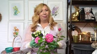 Обзор новинки Фаско БИО – органоминерального сухого удобрения «Компост Деревенский»