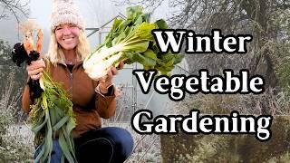 Winter Gardening Essentials: What’s Growing in My Garden Now?