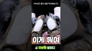홍어 알을 쪄봤다가 먹뱉할뻔 했습니다.ㄷㄷ