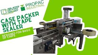 RSC Casepacker with Tape Sealer Solution for Chips Production