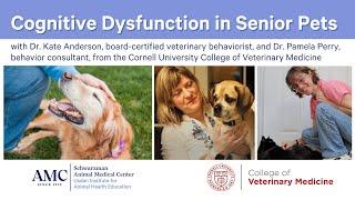 Cognitive Dysfunction in Senior Pets