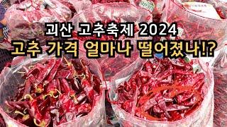 괴산고추축제 2024년 고추 가격 시세 탐방 - 바가지 없는 축제