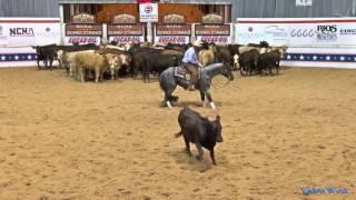 Hashtags and Tatum Rice  2017 NCHA Super Stakes Open Finals Champion