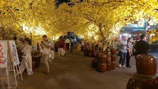 Tet Flower Festival, District 1, HCMC, Vietnam