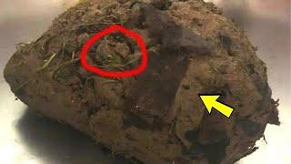 A strange piece of dirt puzzled people — something was wrong with it…