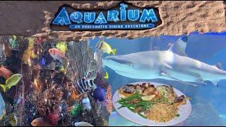 Aquarium Restaurant - Nashville, Tennessee - Review and Walkthrough