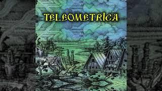 Weejoonz - Teleometrica ( Insomnia Records)