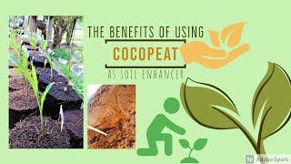 Enhanced Growing Medium (Cocopeat)