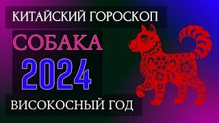 СОБАКА  2024 - ПОДРОБНЫЙ КИТАЙСКИЙ ГОРОСКОП | Високосный 2024 год