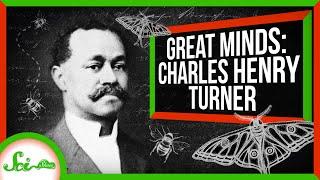 Bugs Aren't Brainless! | Great Minds: Charles Henry Turner