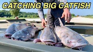 How To Catch BIG Catfish with jugs on the Missouri River.