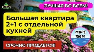 ТОЛЬКО 7 ДНЕЙ  КВАРТИРА ПО ТАКОЙ ЦЕНЕ! МЕРСИН ЭРДЕМЛИ /МЕРСИН НЕДВИЖИМОСТЬ #турция #мерсин