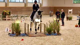 DressurTrail Klasse L Working Equitation Lea-Sophie Jell