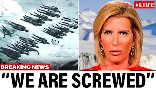 Laura Ingraham JUST Revealed The Last And Most TERRIFYING Secret We Are NOT Supposed To Know