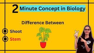 Difference Between Shoot And Stem of a plant || #apnasapnajrf