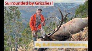 Surrounded by Grizzlies! Wyoming Public Land Elk Hunt 2023